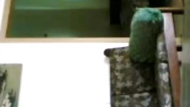 خواب سنہرے بالوں فیلم سکسی مادر با پسر والی سرسبز fluttering