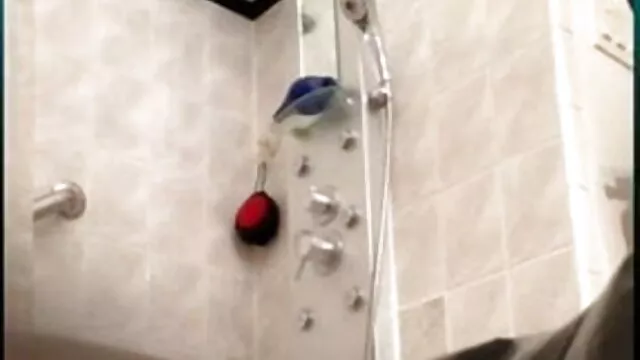 لڑکی ویلنتینا Nappi کے ساتھ ایک مکمل کادامن خوش جنس کے فیلم سکسی برندی لاو بارے میں