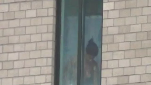 Twigs گرمی پر فیلم سکسی همجنس بازی قبضہ گیند کے ساتھ پس منظر کی نوعیت