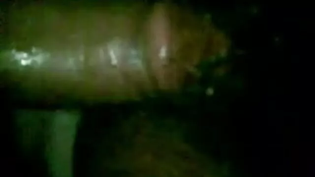 جنسی کلب میں فیلمسکسی رایگان اور سمندر کی منی کے چہرے میں