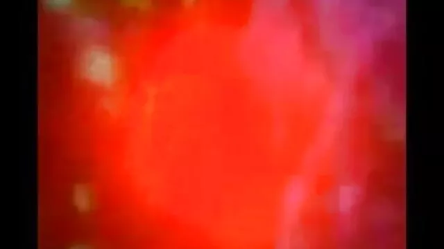 سارہ دانلود فیلم سکسی همستر ، پتھر اور اس کی بڑی چوچیان