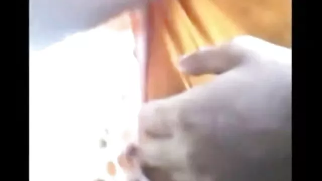 خفیہ سکس کندرا لاست کمرے سینگ