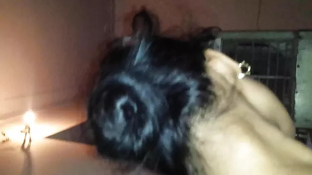 انٹرویو کے جدیدترین فیلمهای سکسی پاس نئی کتیا!