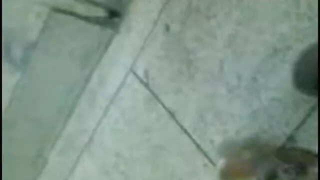 لڑکی سپین شہوانی پشت صحنه فیلمهای سکسی ، شہوت انگیز Miss جینی ، کالی مرچ