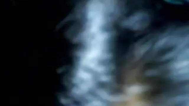 کو آزمانے والے شیف دانلود مستقیم فیلم سکسی