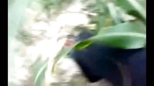 مثلث بال سکس پورن های معروف سکرو