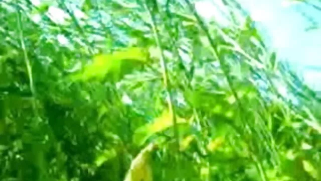 ماں اور بڑے سیاہ فیلم سکسی اذری ڈک باہر