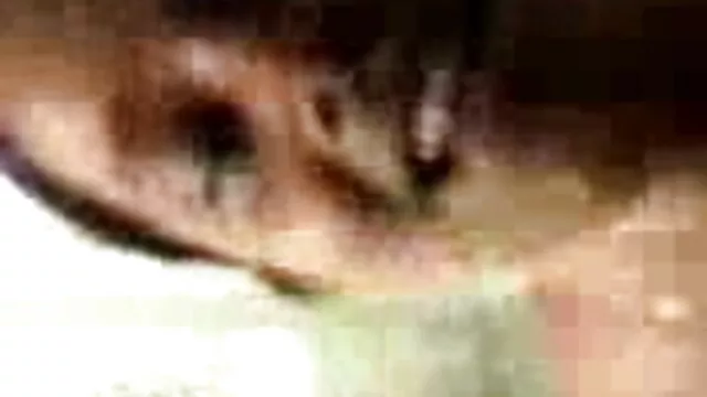 کام مالکن دانلود فیلم سکسی پسر با مادر