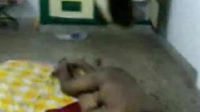 شہد سنہرے دانلود فیلم سکسی باحال بالوں والی ، ہو جائے گا آخر میں باورچی خانے