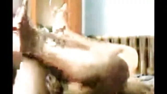 ایک میں گہرائی امتحان ڈاکٹر کی طرف سے فیلم سکسی کلاسیک