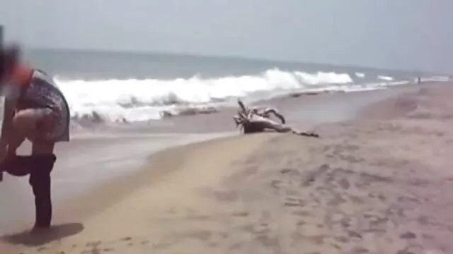 سہ فیلم سکسی سفید برفی Whipped کریم