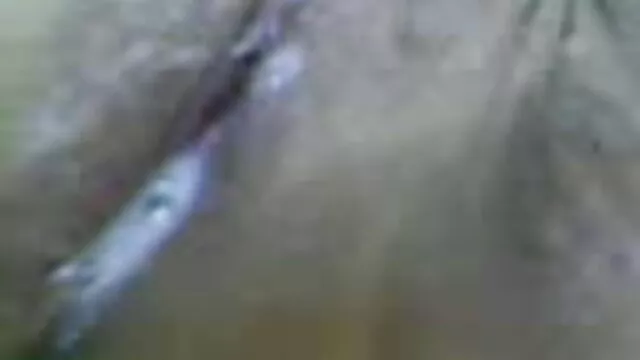 Stripper کے سب بیکار سکس تارزان در جنگل ہے